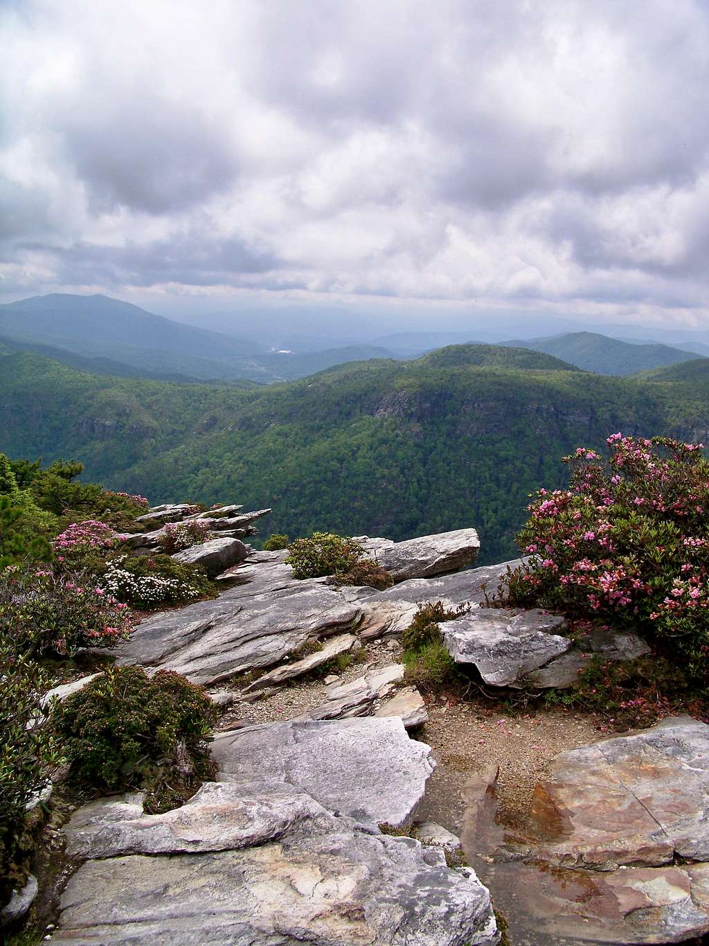 View from the Hawksbill Summit
