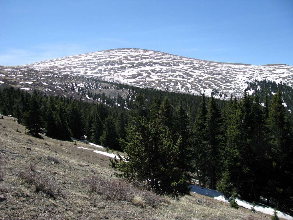 Mt. Logan from Three Mile Creek Trail