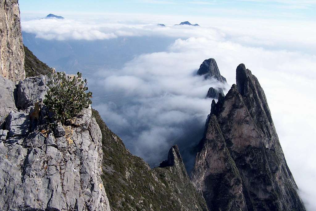 Crestas en cerro 