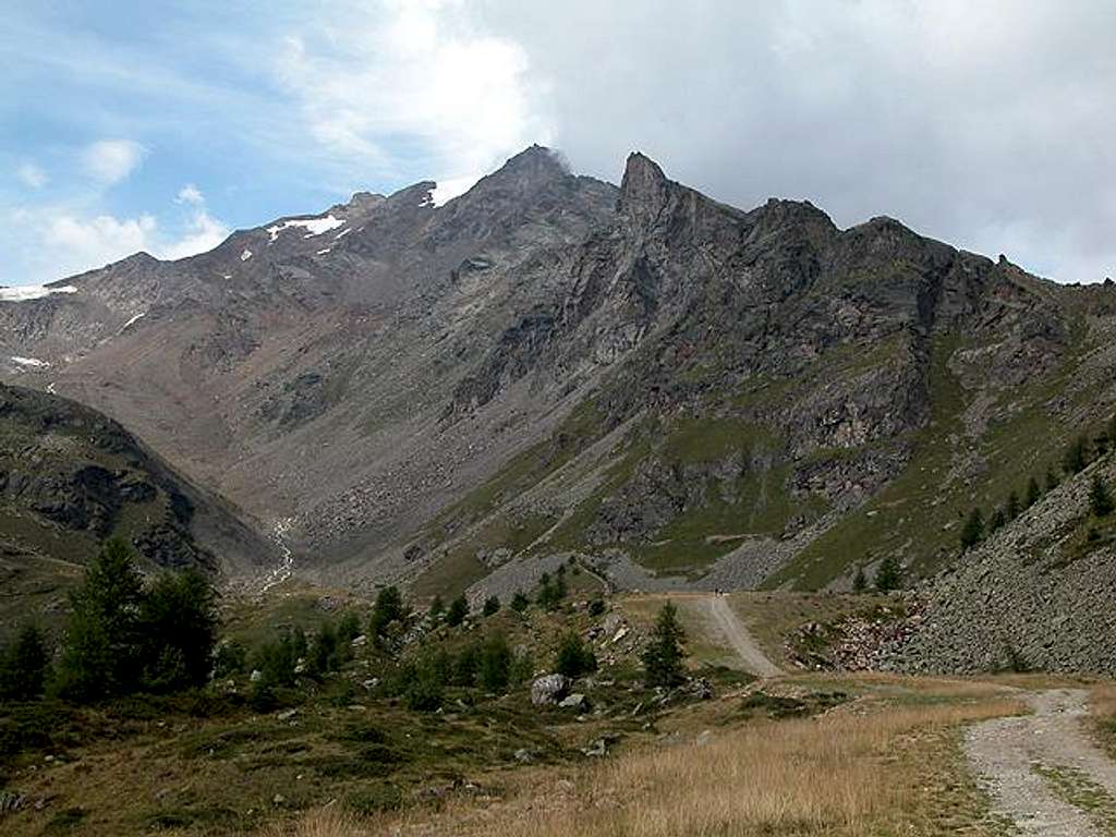 Monte Vioz (3645m), August...