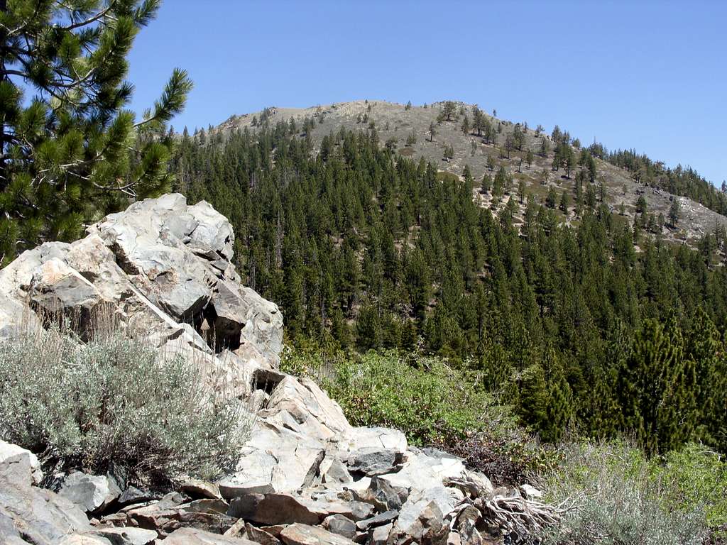Duane Bliss Peak from the south