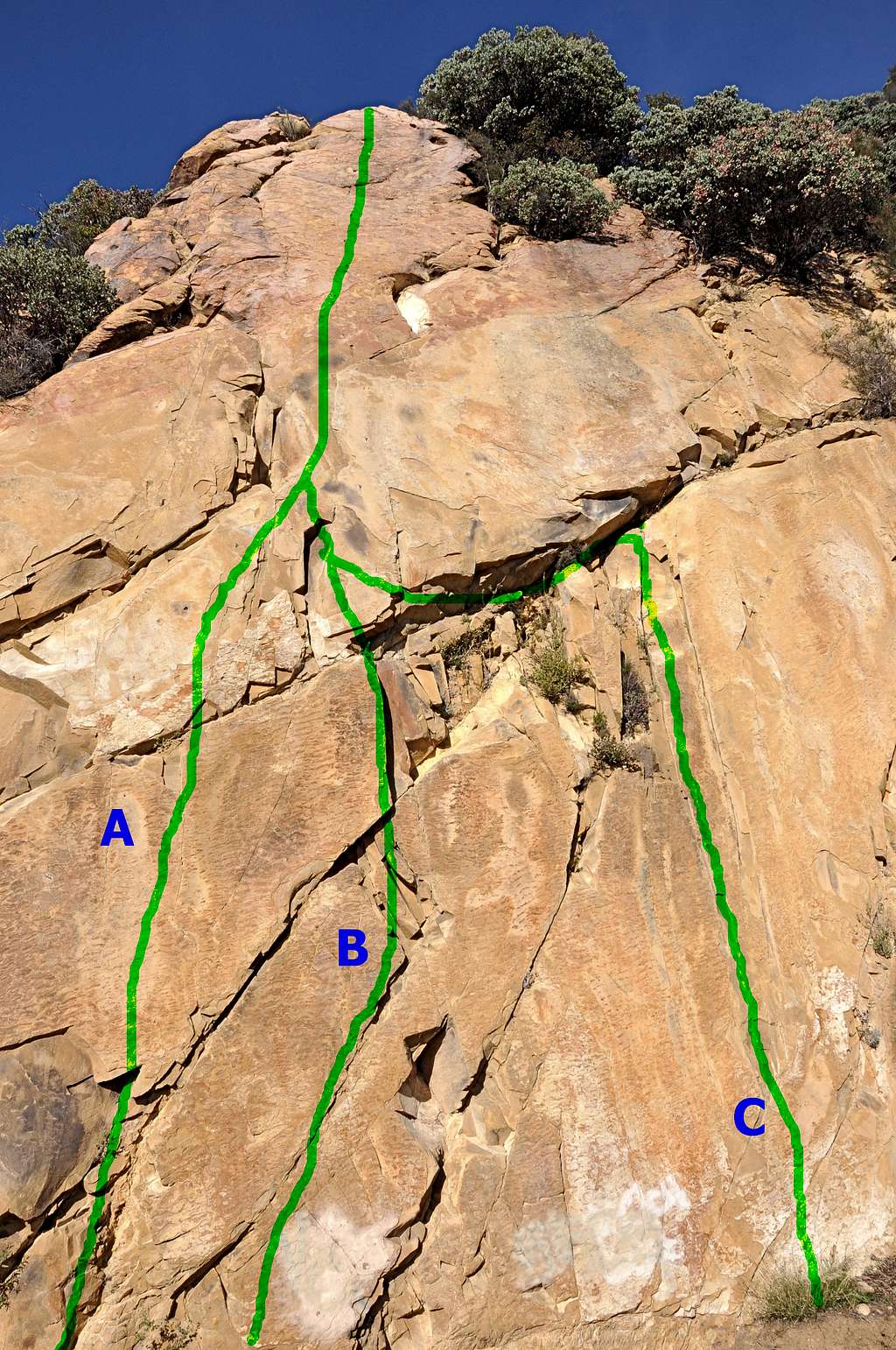 Routes of The Bolt Ladder