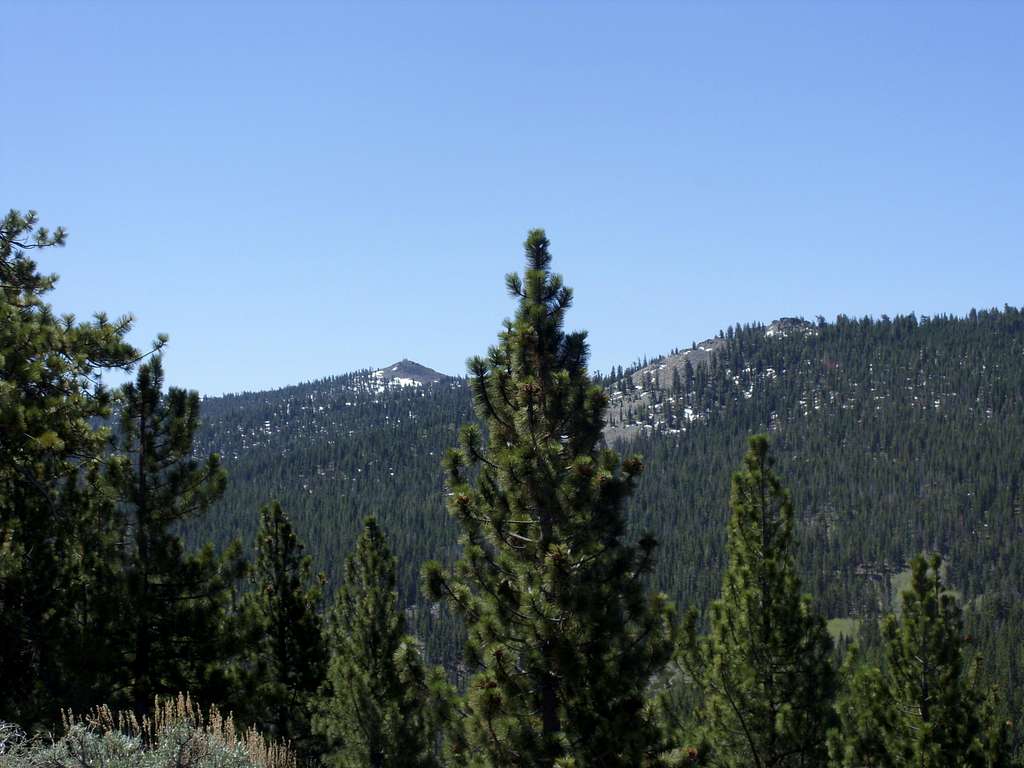 Genoa Peak and South Camp Peak