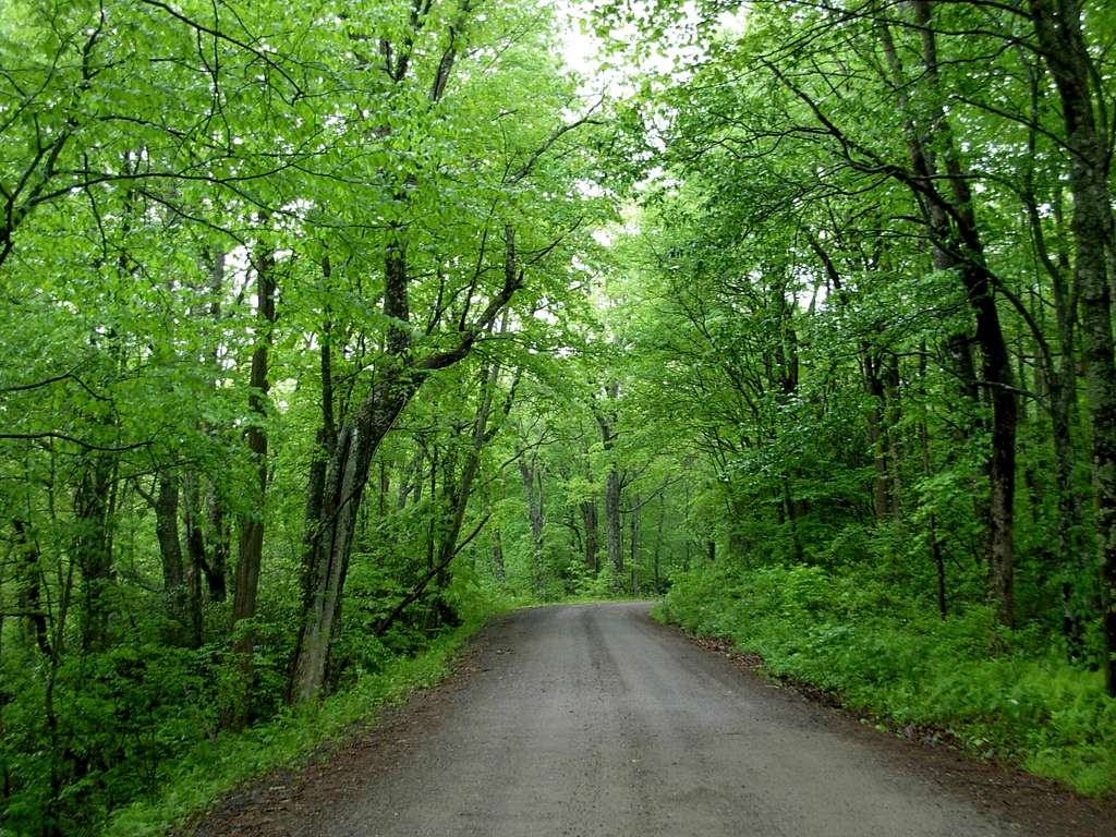 Forest Road 69