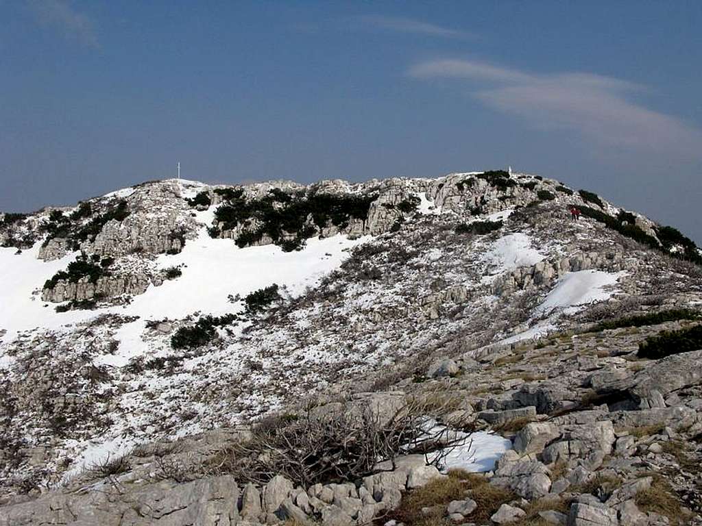 Dinara summit (1.831 mtrs)
