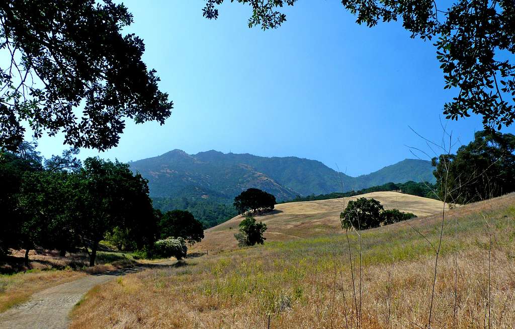 Mt. Diablo from Donner Canyon