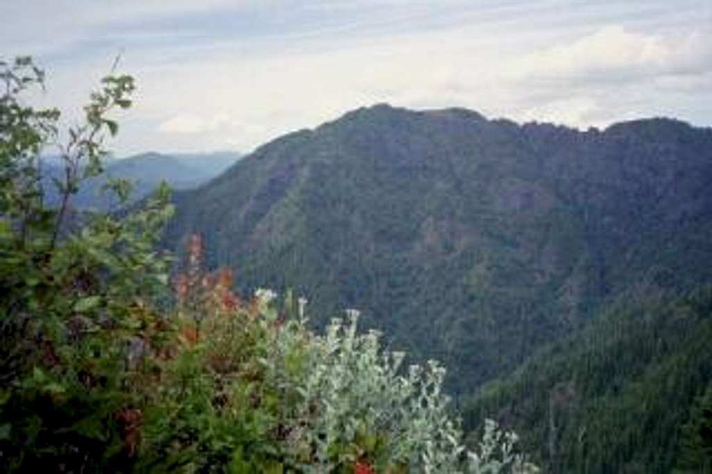 View of Kings Mountain from...