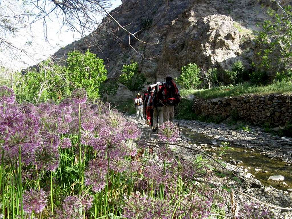 Dorbana valley