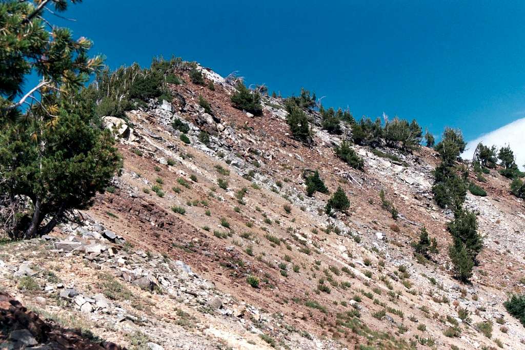 The Summit and Upper Southeast Slope