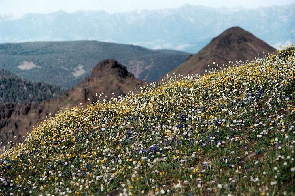 Hyalite Peak Summit View