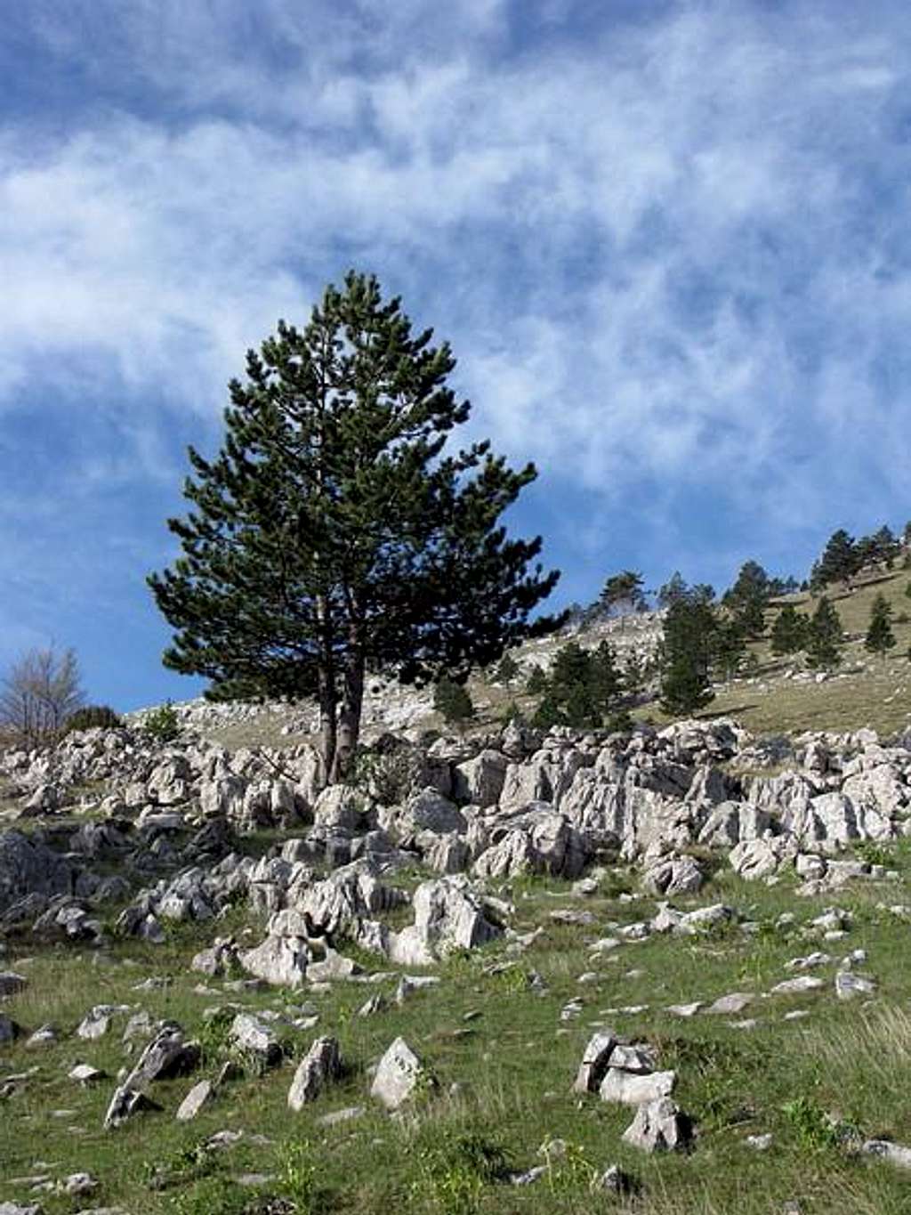 Scenery from the slopes of Badanj peak