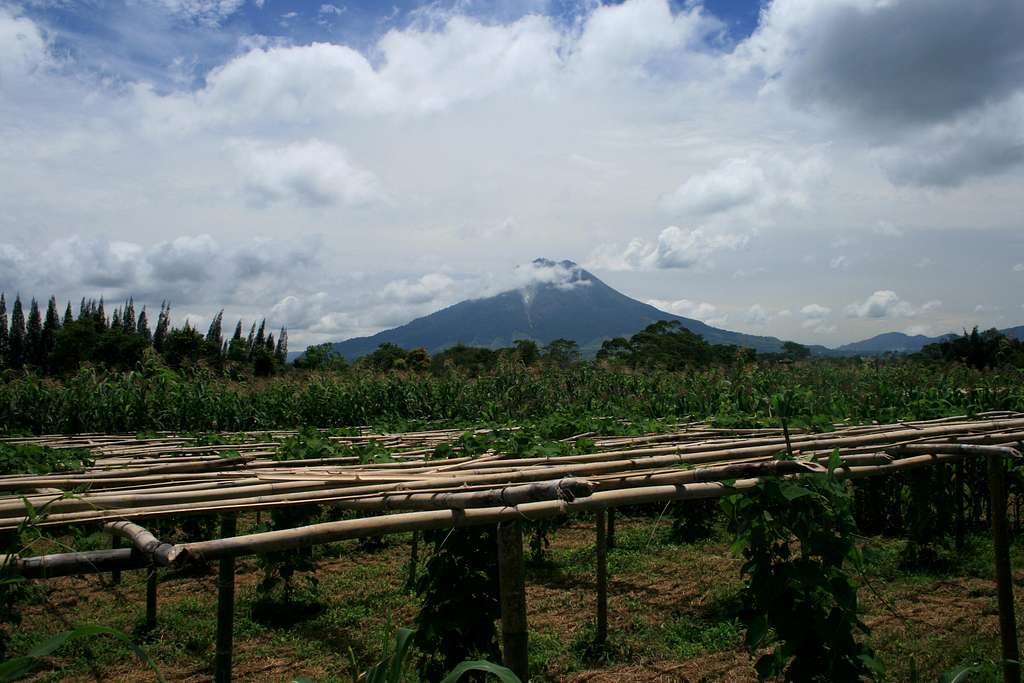 Gunung Sinabung from the Kutacane Road
