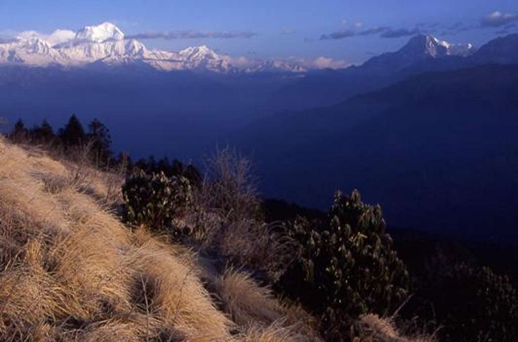 Poon Hill in foreground with...