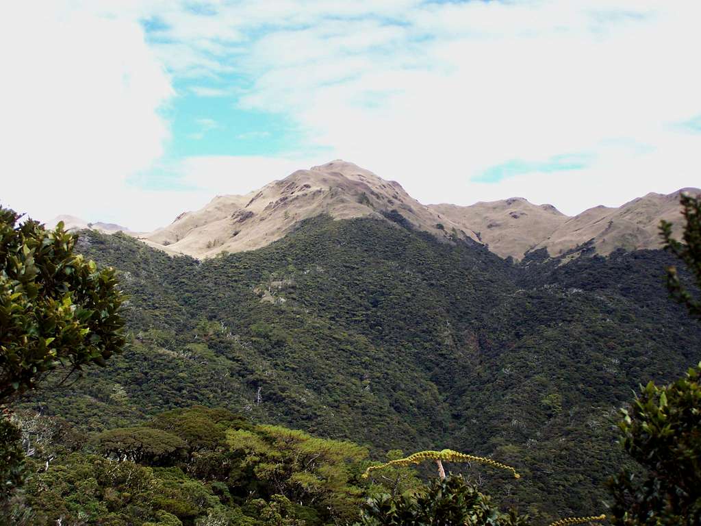 View of Mt. Pulag from south
