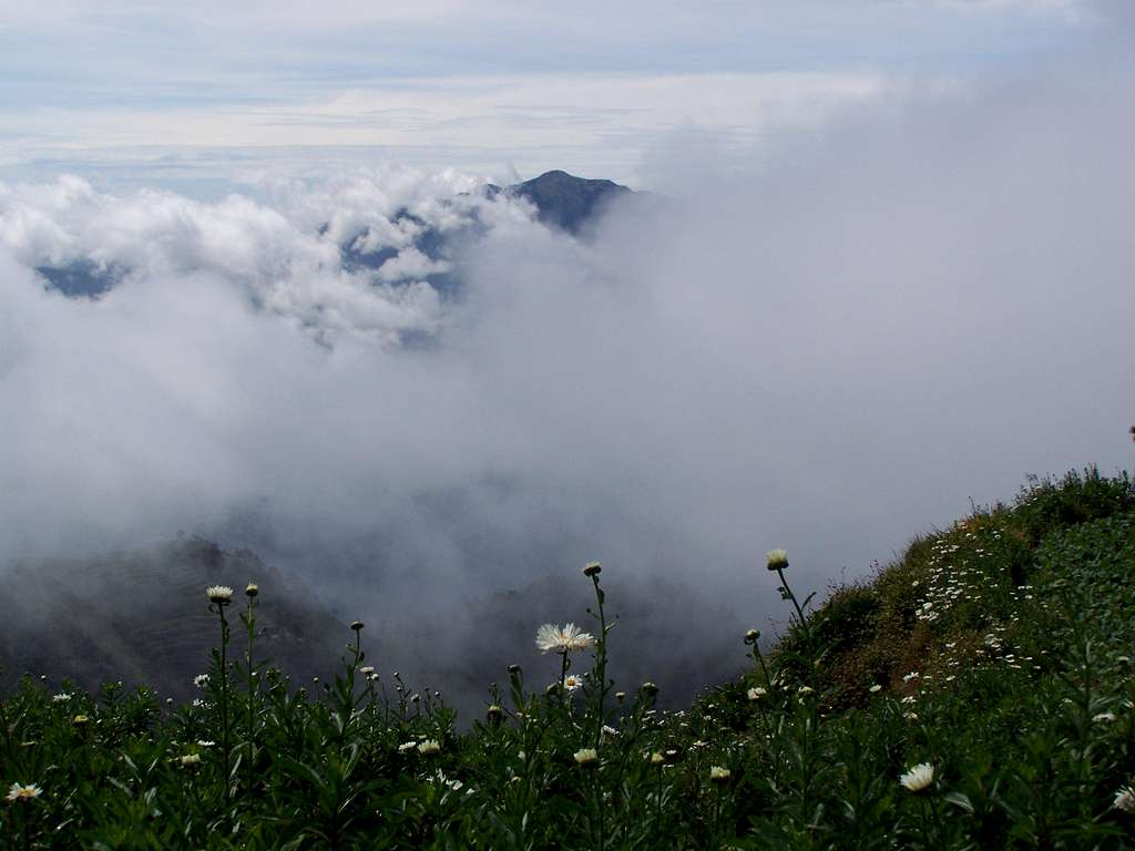 Mt. Pulag in the distance