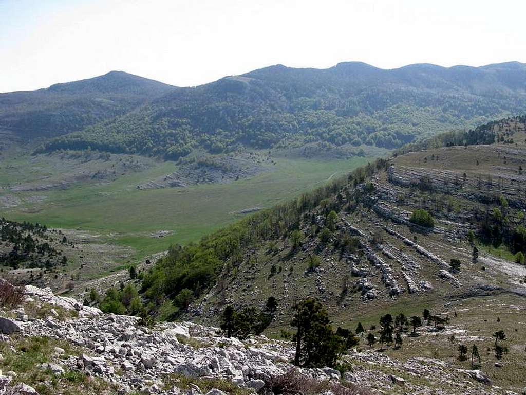 Brezovac valley