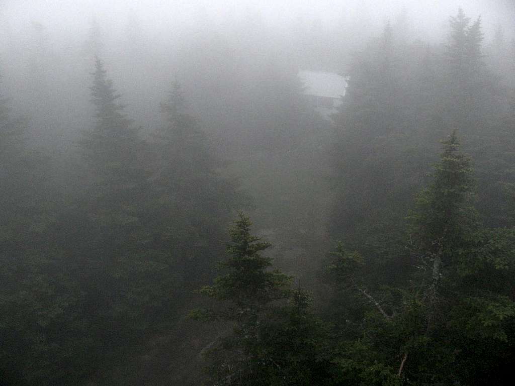 View from fire tower in thick fog