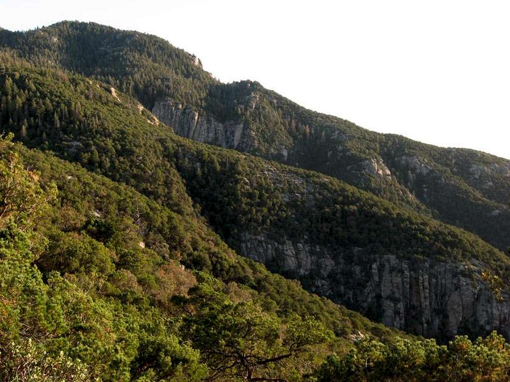 Rincon Cliffs