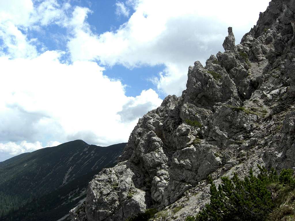 Ammergau Alps - Großer Zunderkopf