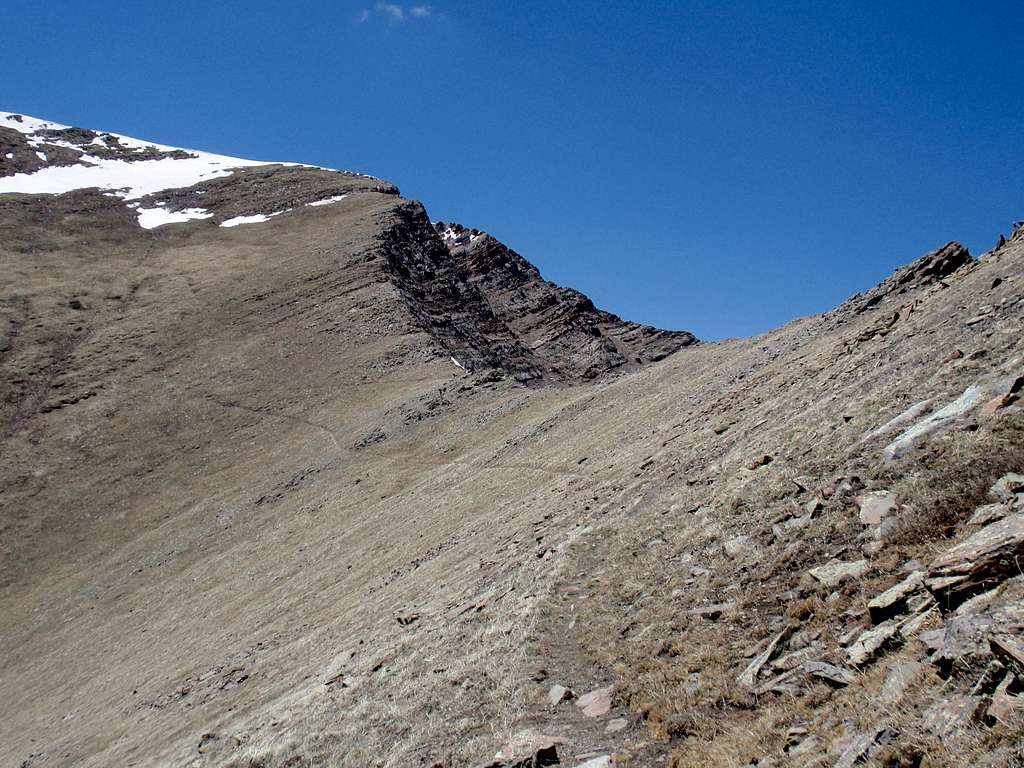 Saddle between Venable Peak & Spring Mtn