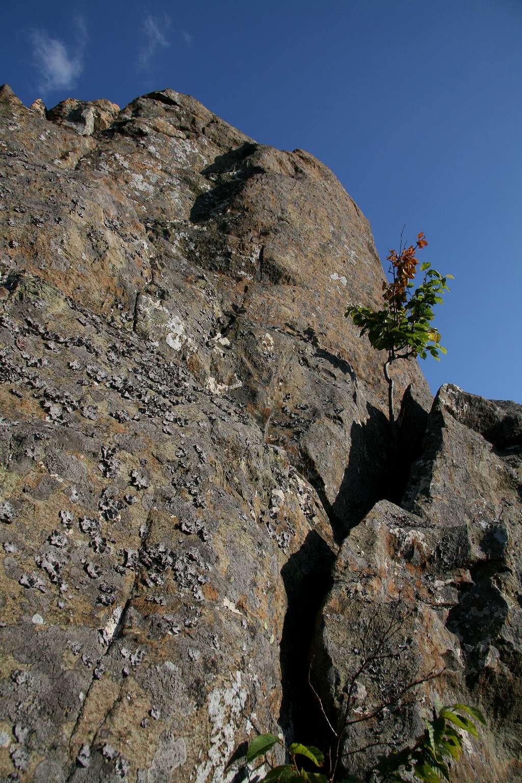 Climbing Crag on North Marshall