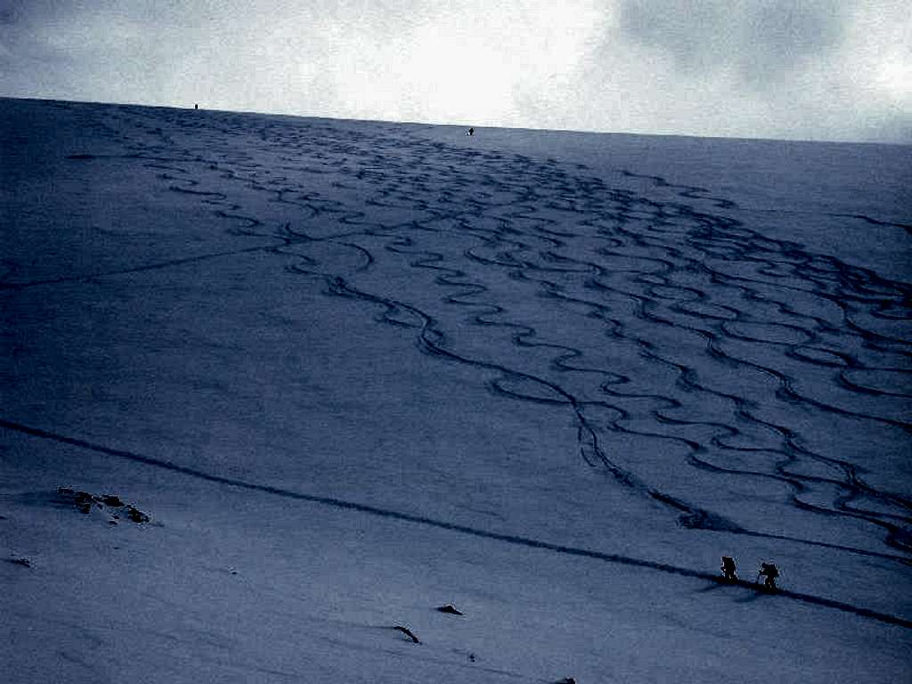 Tracks on North slope on Blanket Glacier