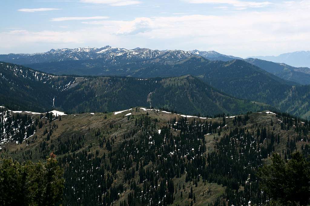 Naomi Peak Wilderness