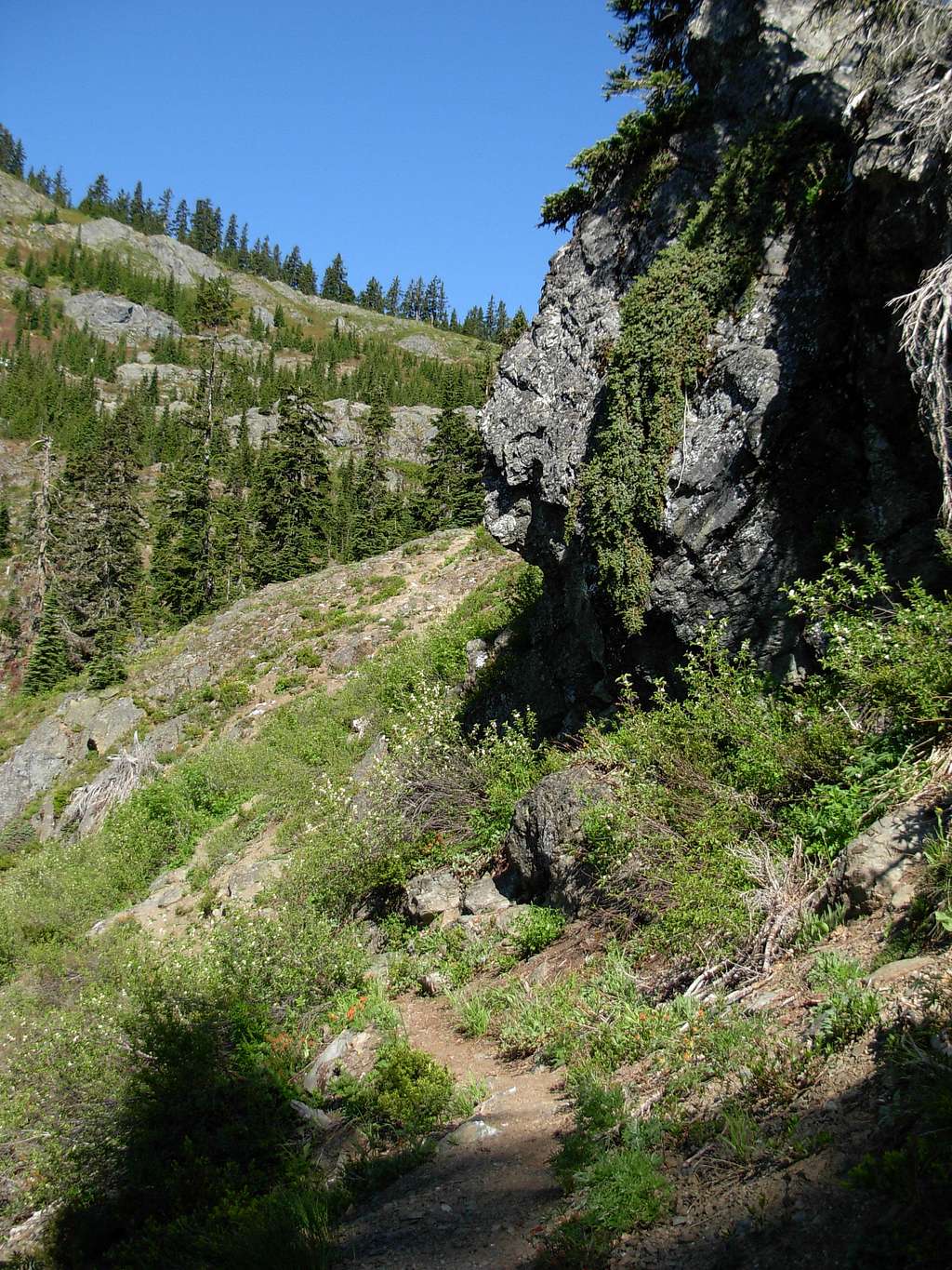 Thorp Mountain Via Knox Creek Trail