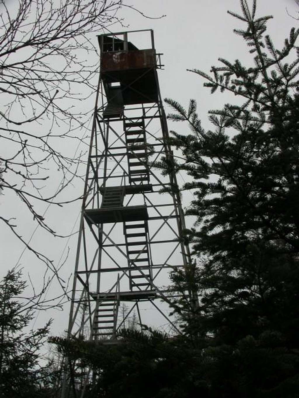 Fire Tower on Mount...