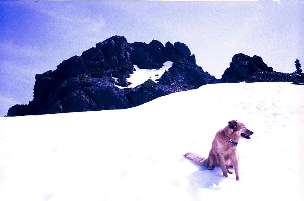 Blondie summit