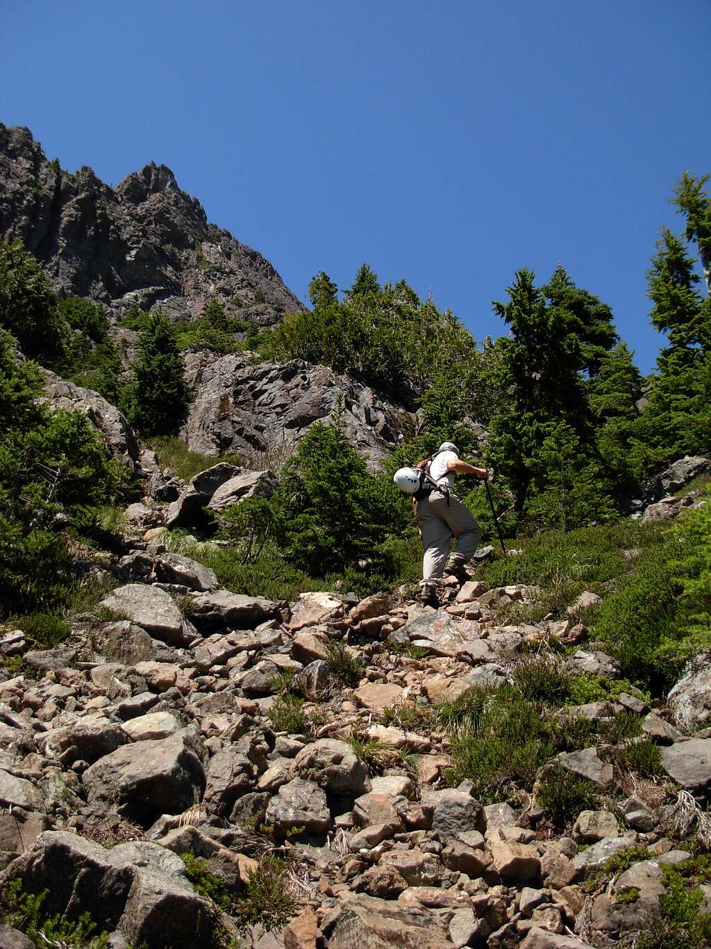Section #4: Ascending From Meadow Basin