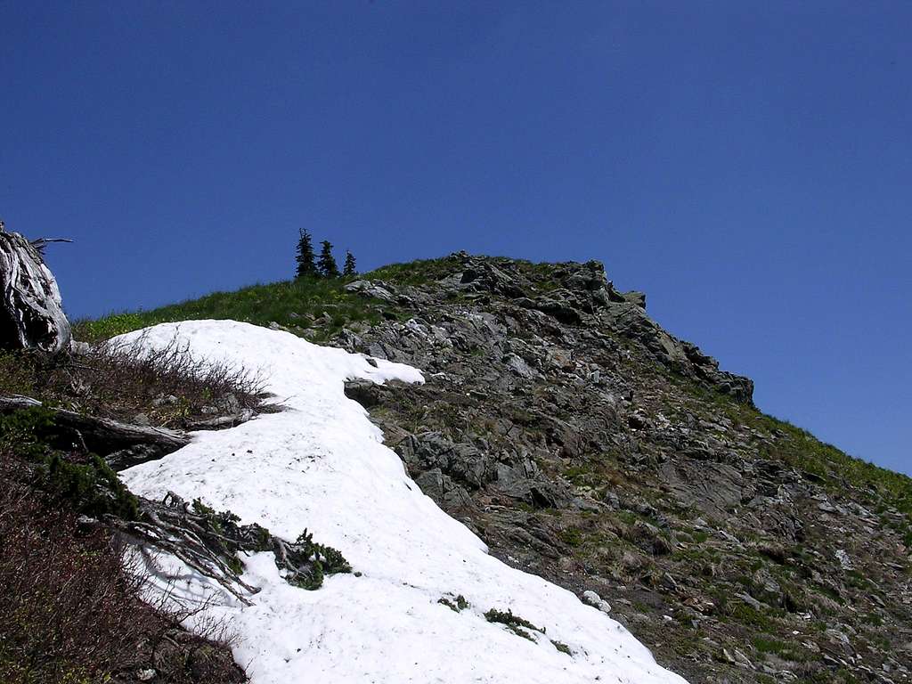 A view of Jove's summit