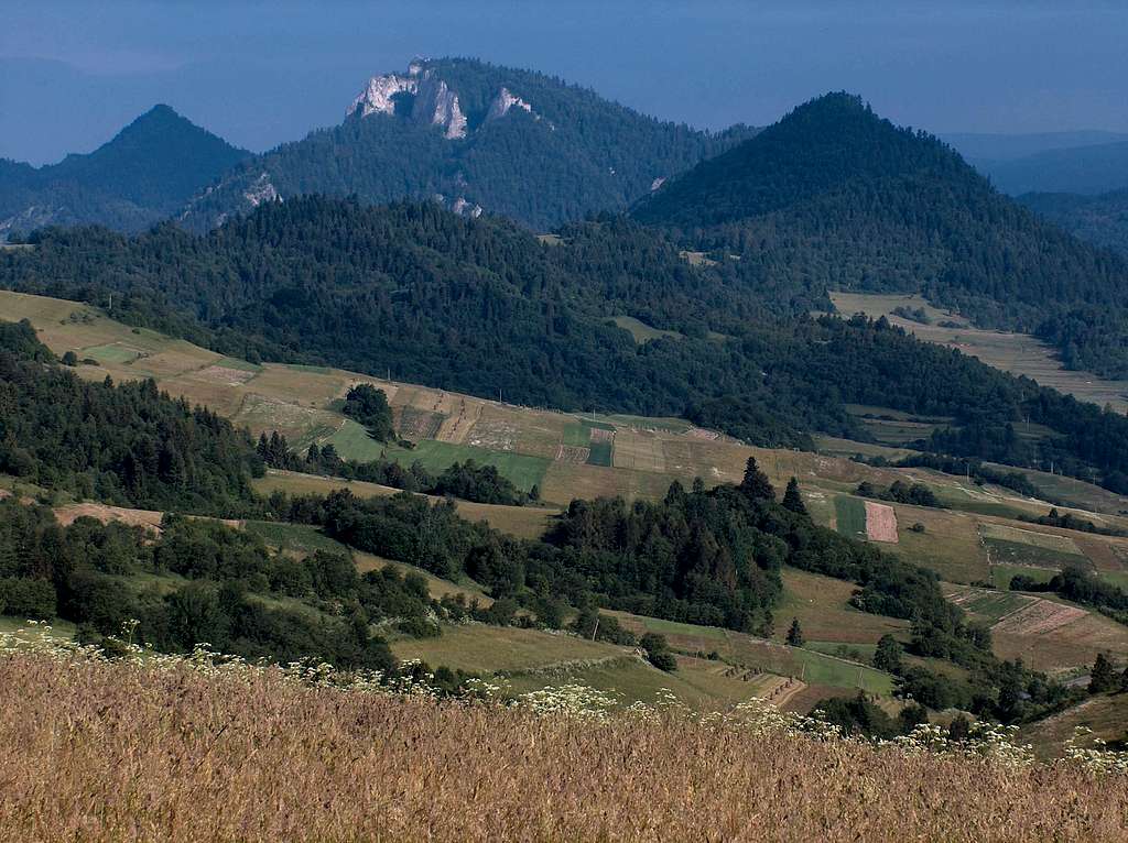 Trzy Korony from the top of Plašná (Haligovské Skaly)
