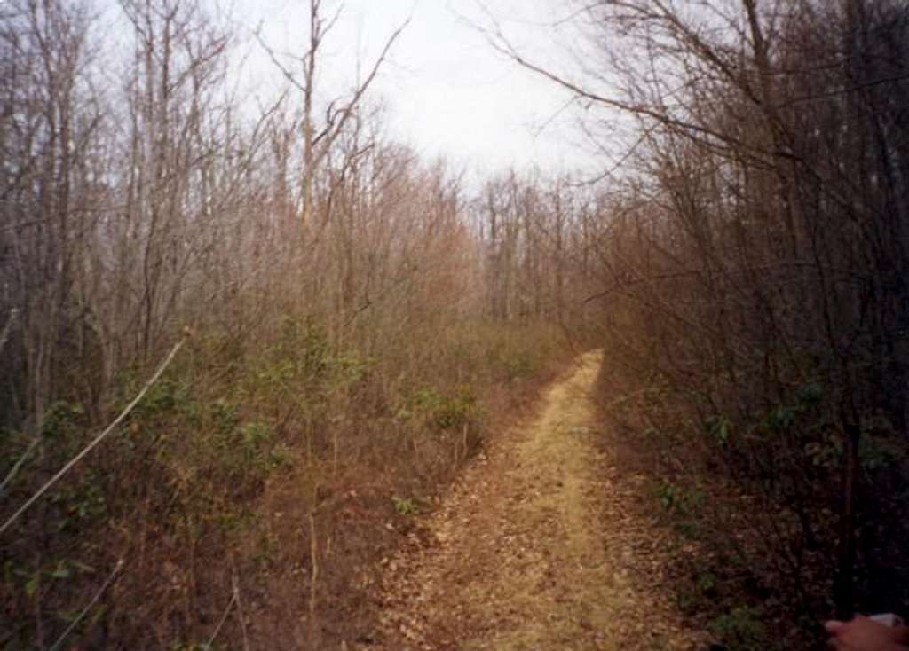 This is a view of the trail...