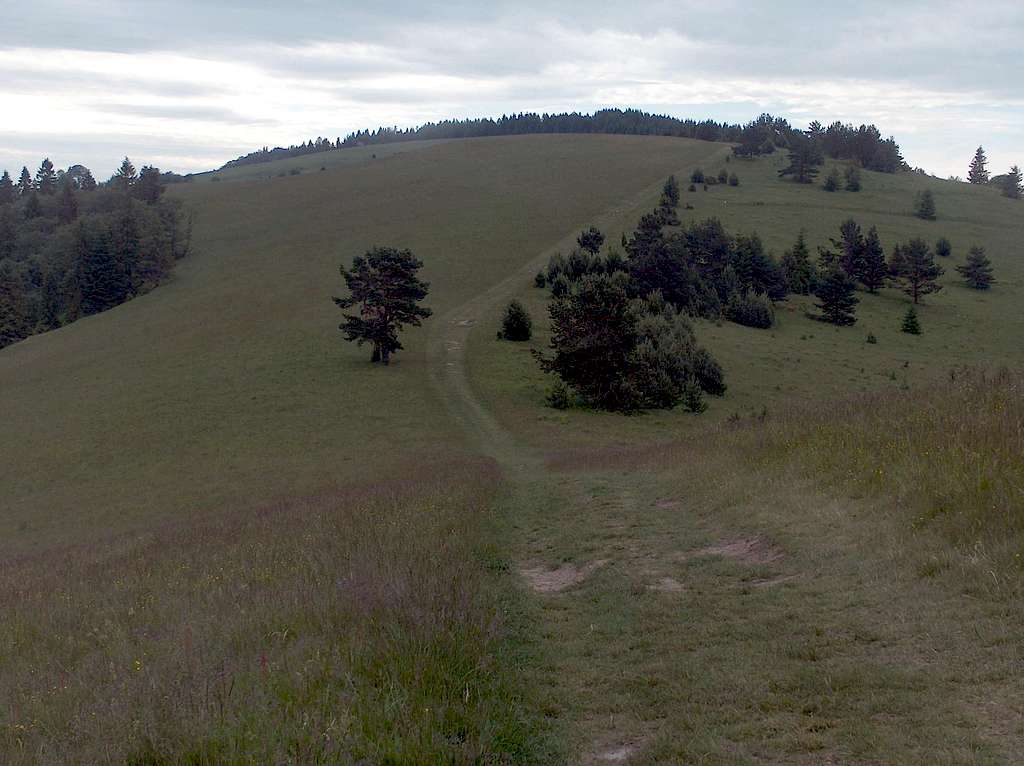 The flat ridge of Małe Pieniny