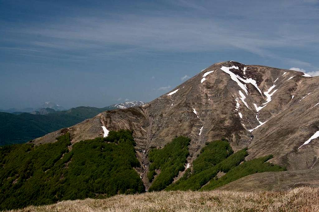 Monte Cornaccio