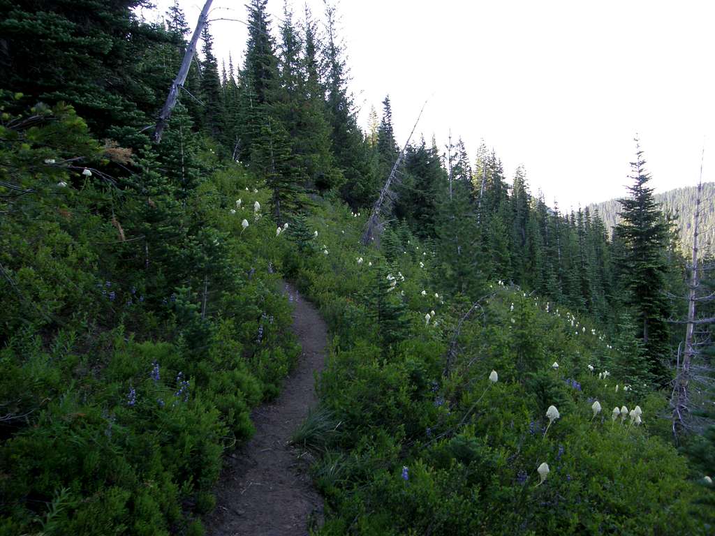 Upper Crystal Peak trail.