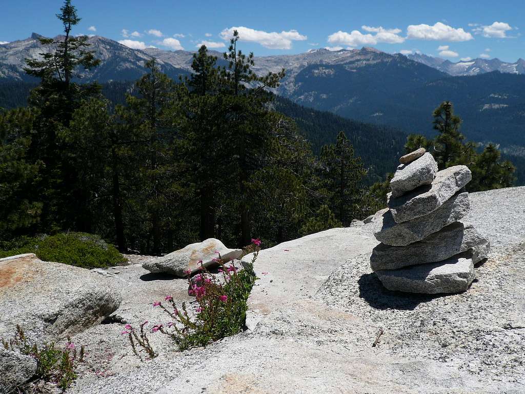 Flora, Granite and Wide Expanse