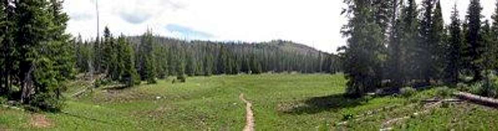 Trail Flat Tops