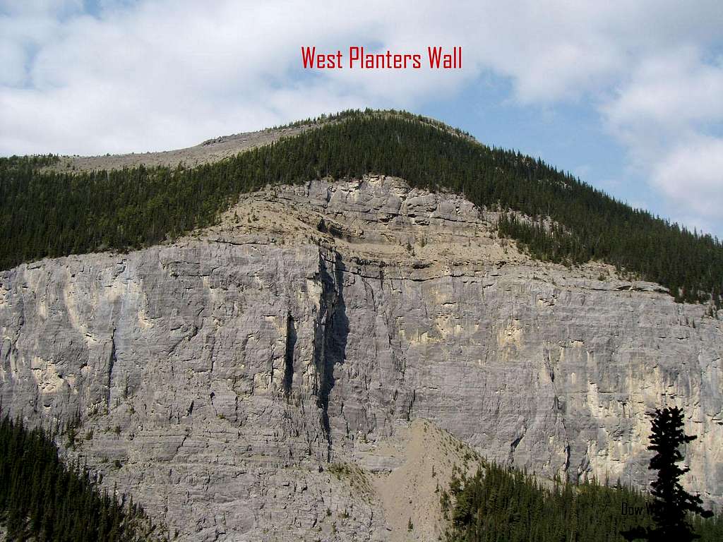 West Planters Wall