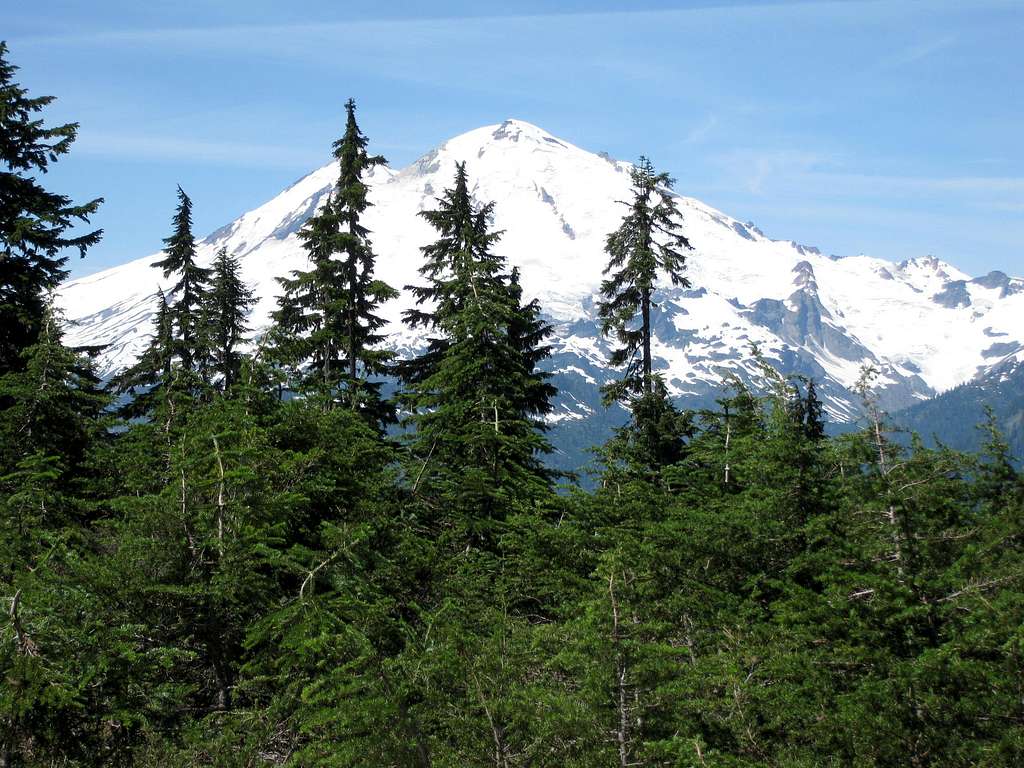 Mt. Baker from Shannon Ridge Trail