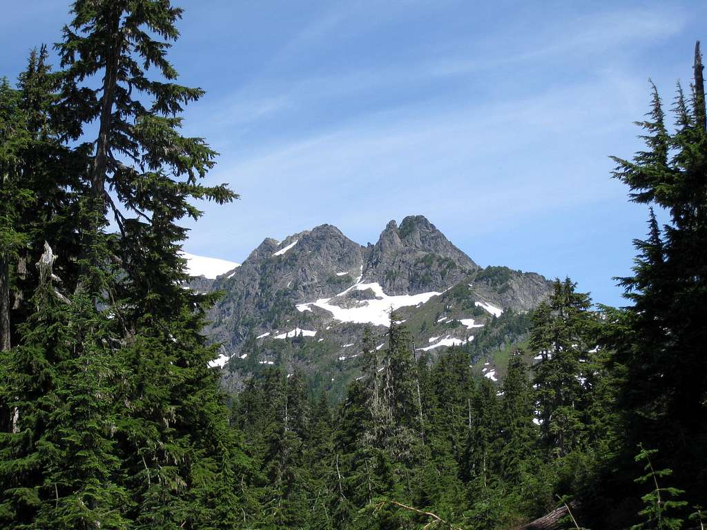 View along  Shannon Ridge Trail