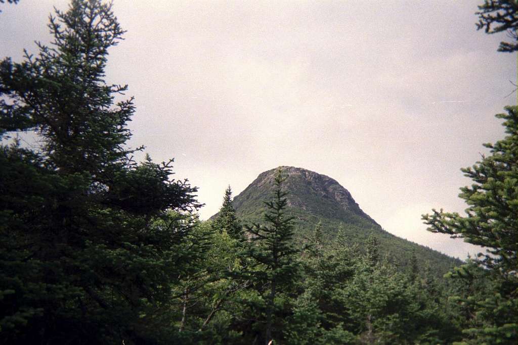 first view of summit cone