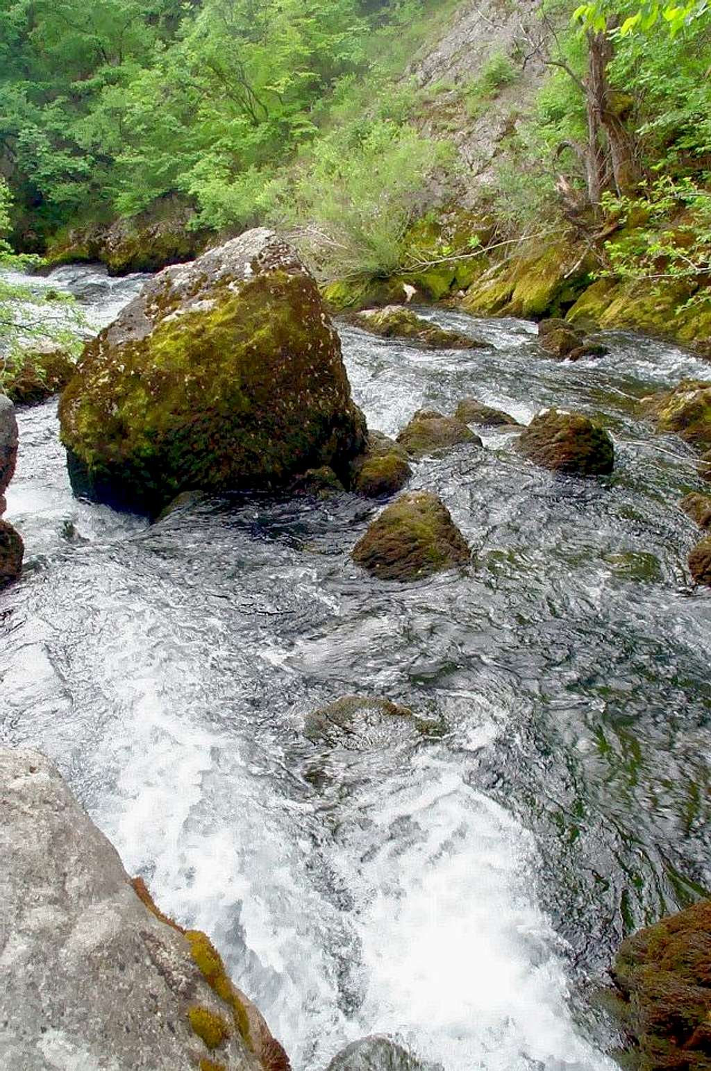 Zrmanja river source