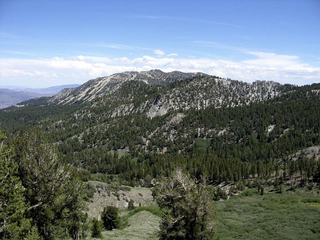 Slide Mountain from Mount Rose Trail