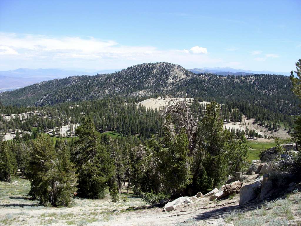 Peak 9225 from Mount Rose Trail