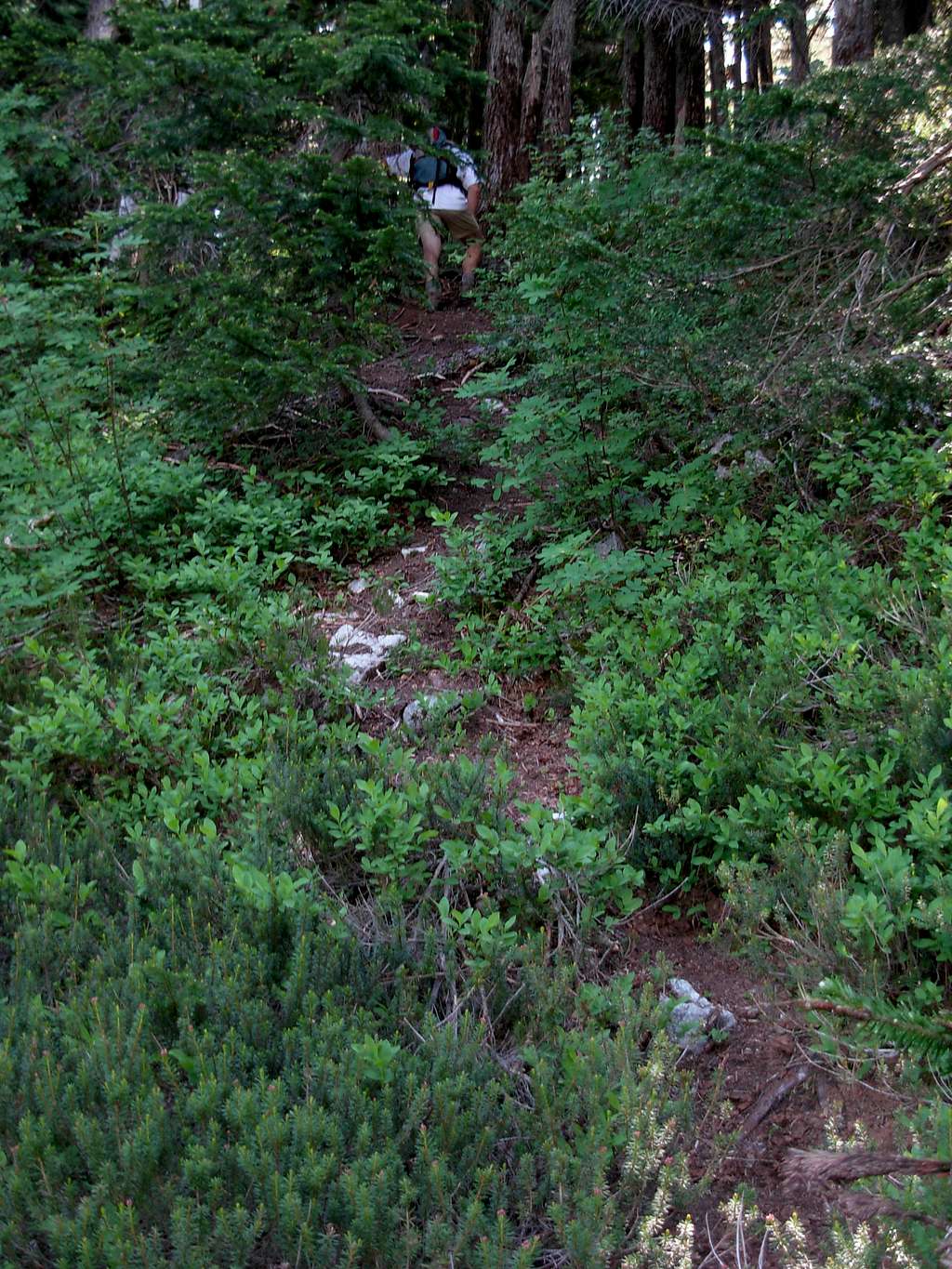 Mount Margaret Summit Trail