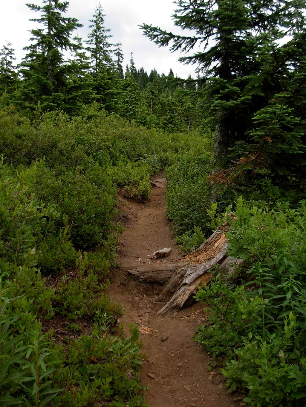 Mount Margaret Trail
