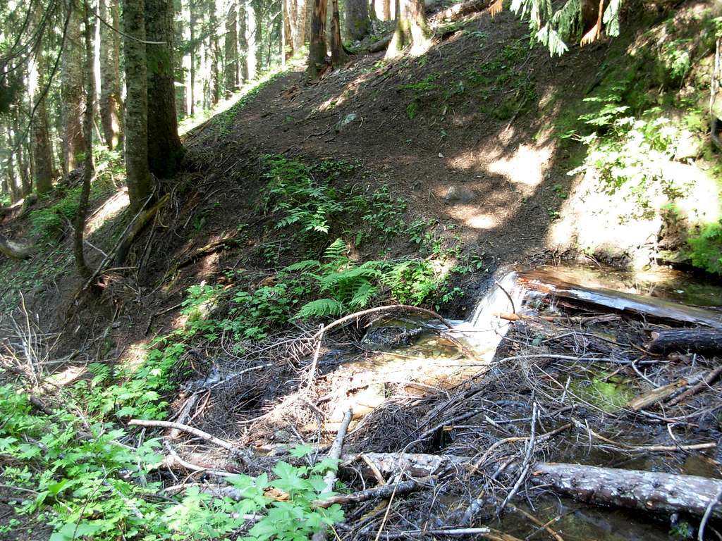 Lookout Mountain Trail