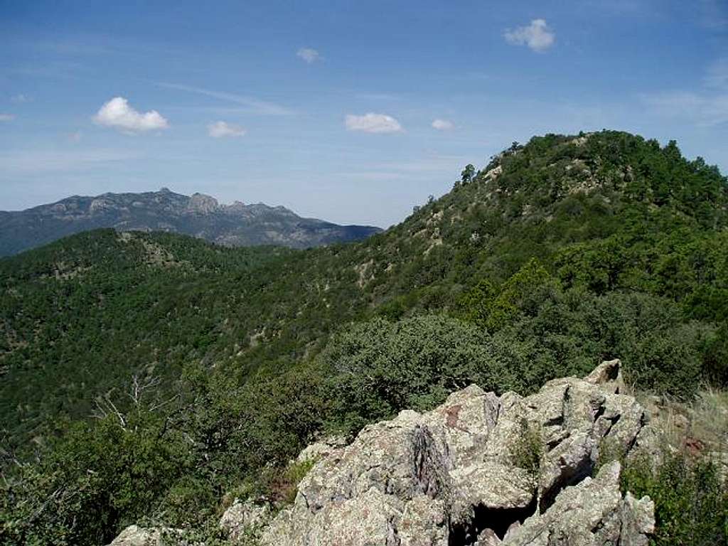 View from Pine Peak East